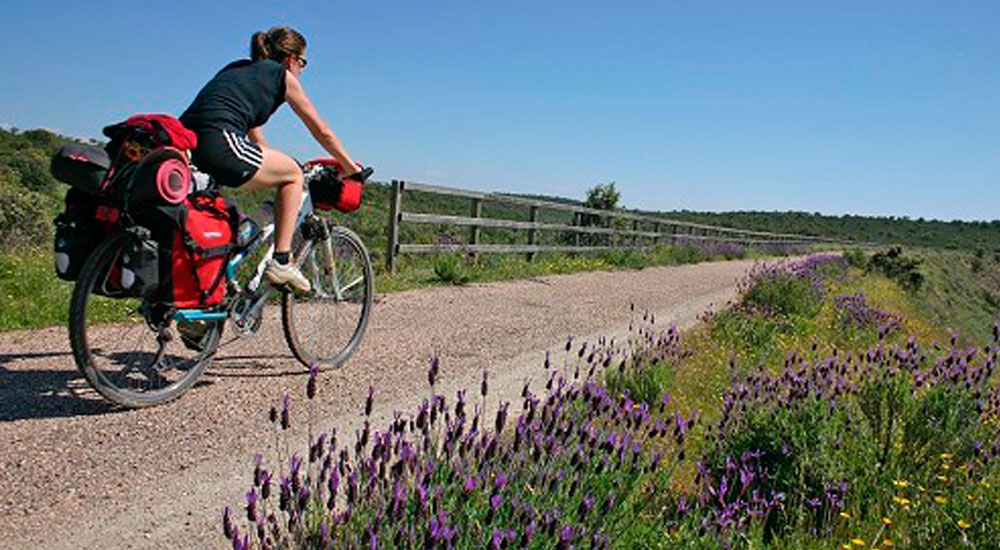 La Fundaci�n gestionar� 10 millones de euros en ayudas a entidades locales para impulsar la movilidad ciclista