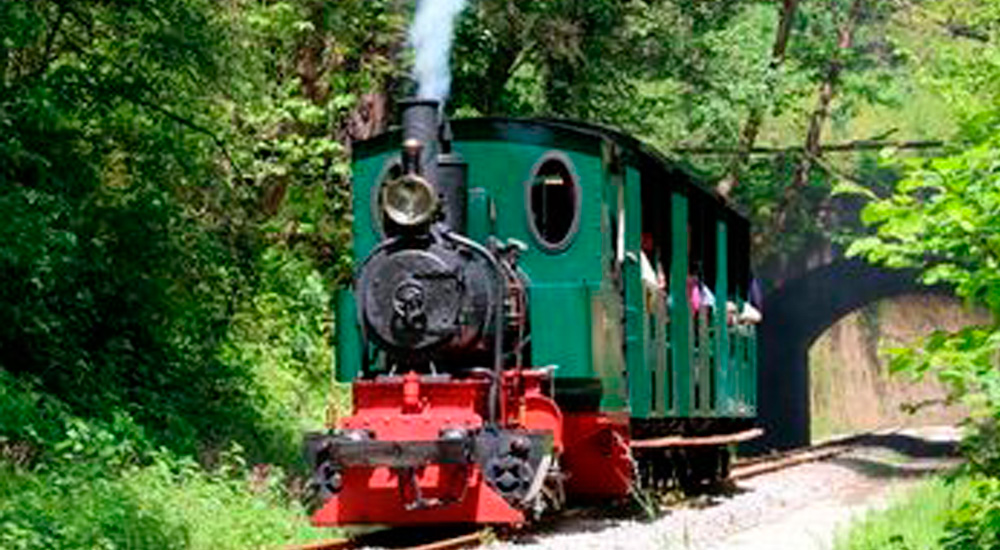 Celebradas las I Jornadas sobre los ferrocarriles hist�ricos espa�oles