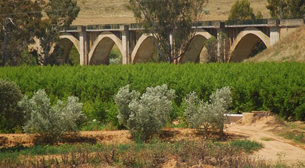 La Fundaci�n y Turismo de Extremadura acuerdan impulsar la promoci�n tur�stica de las V�as Verdes