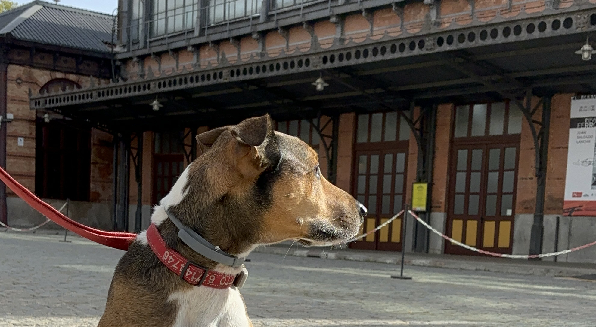 Los museos del Ferrocarril se vuelven �dog friendly�