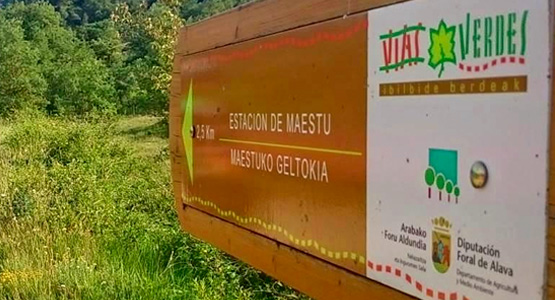 La Fundaci�n en Radio 5: V�as Verdes